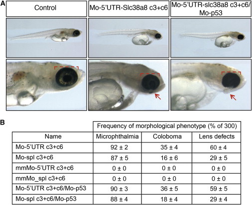 Figure 4