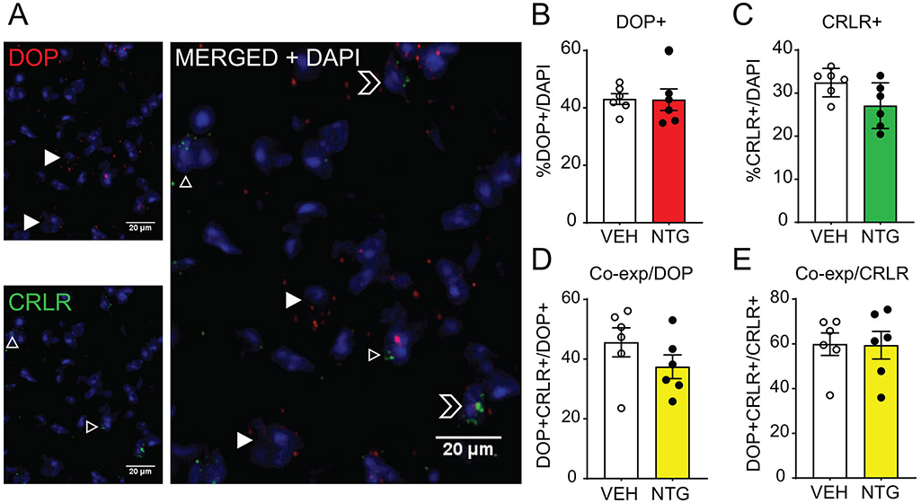 Figure 6: