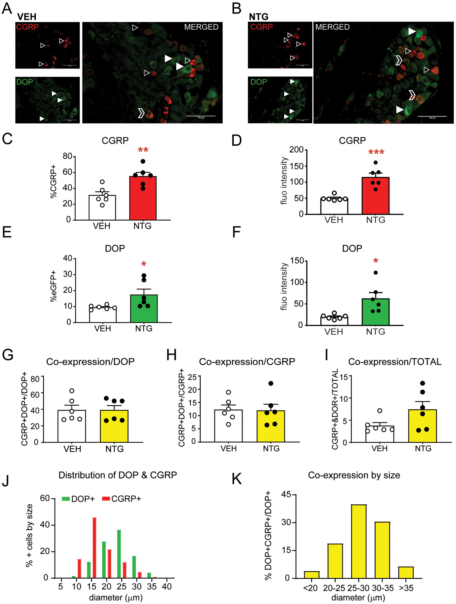 Figure 3: