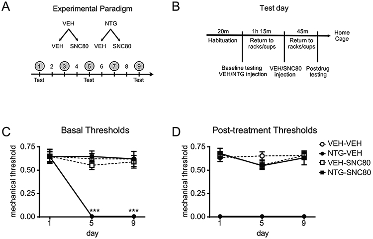 Figure 1: