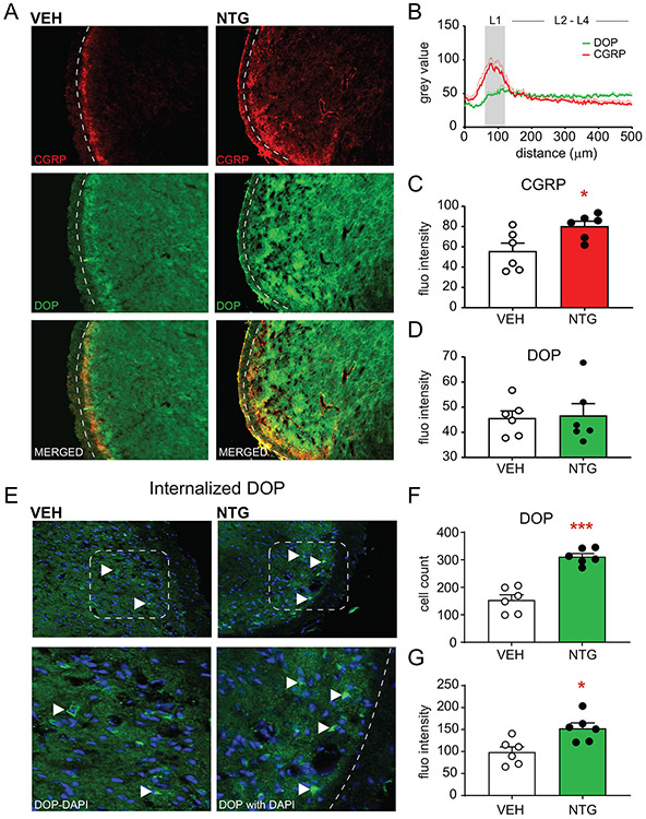 Figure 4: