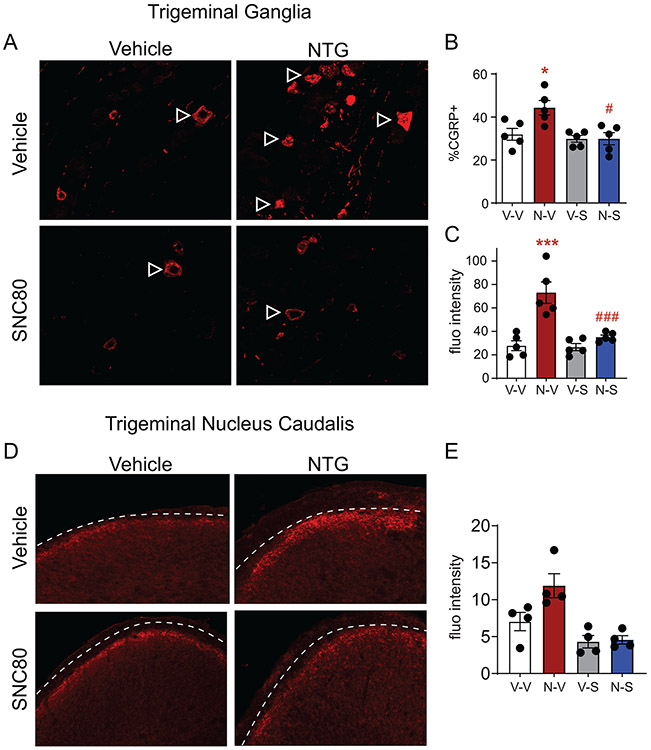 Figure 2: