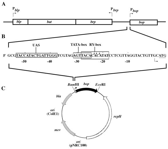 FIG. 1