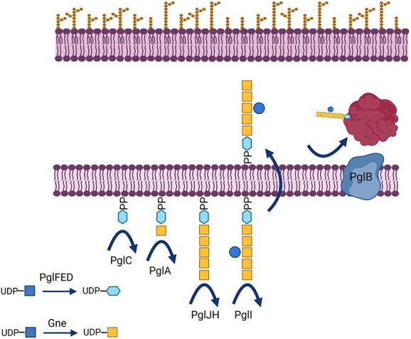 Fig. 1