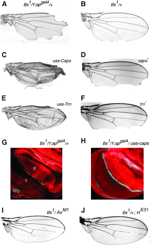 Figure 2.—