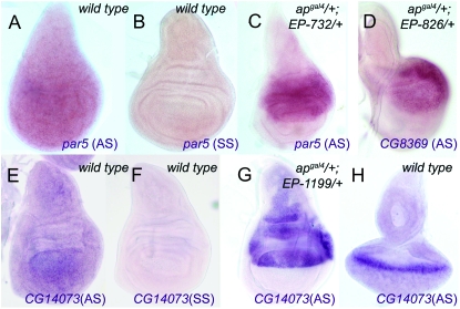 Figure 3.—