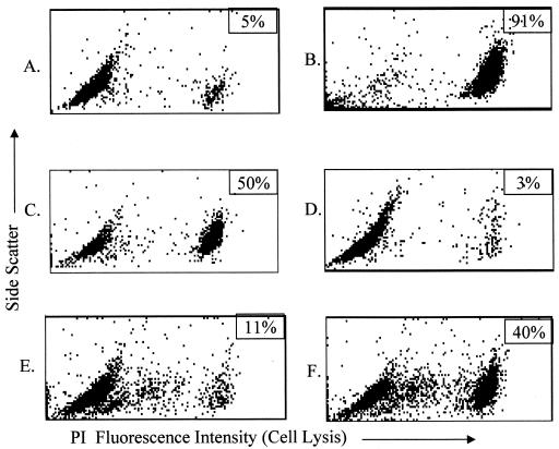 FIG. 6.