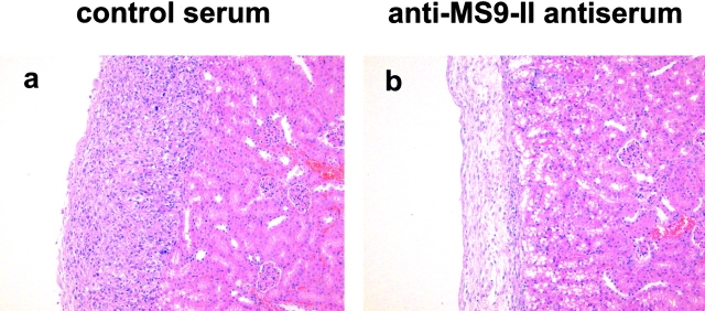 Figure 9.