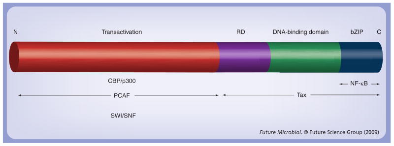 Figure 5