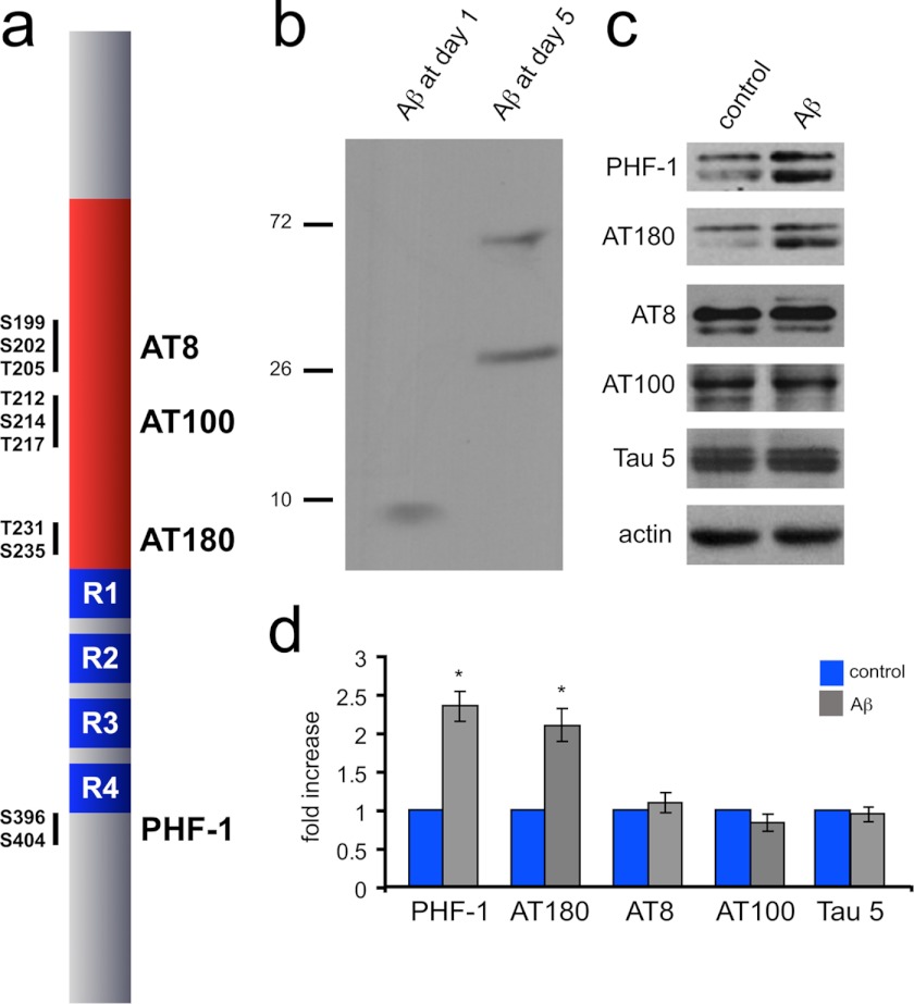 FIGURE 1.