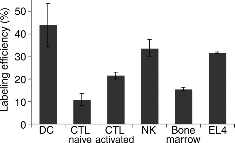 Figure 1b: