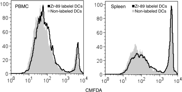 Figure 4b: