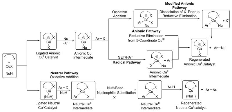 Scheme 4