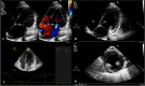 Fig. 1. A