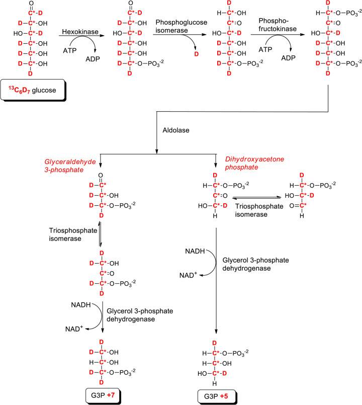 Figure 5.