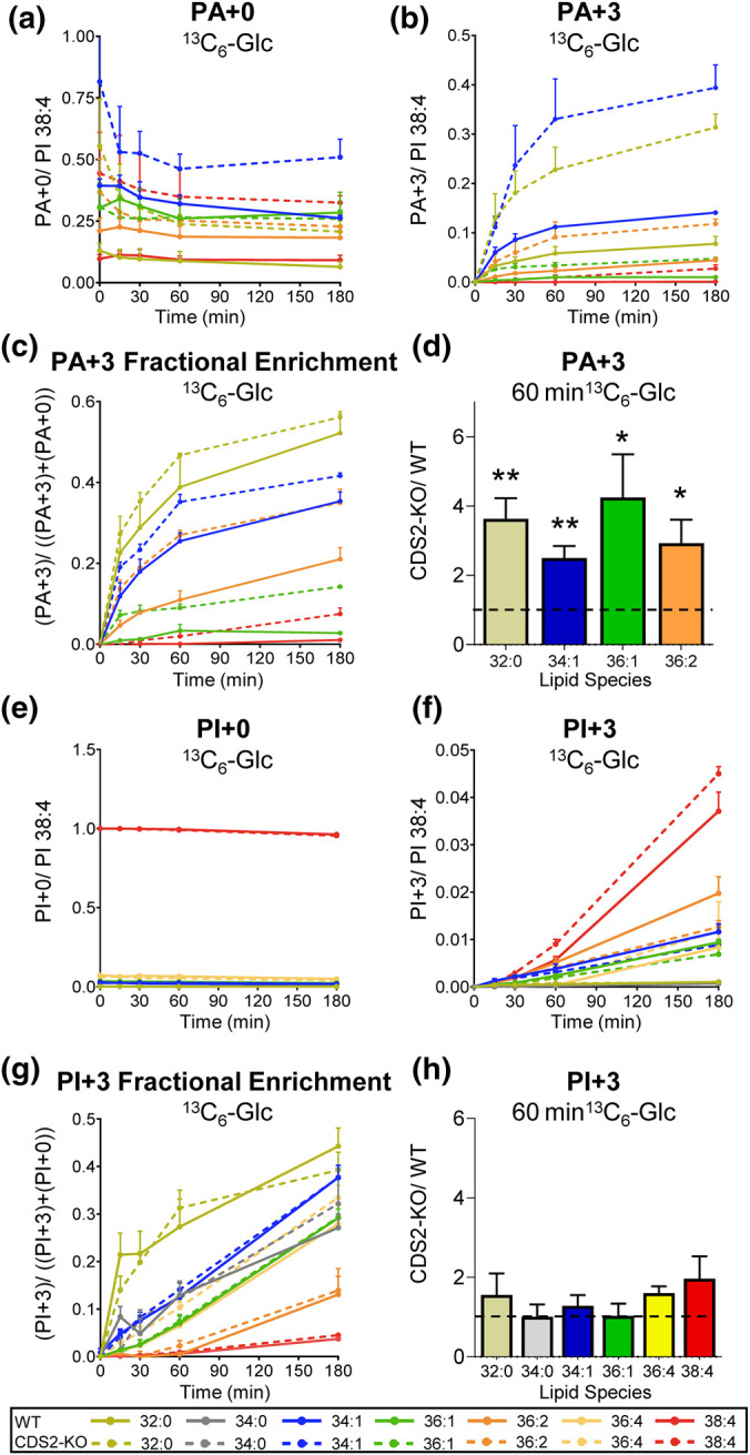 Figure 4.