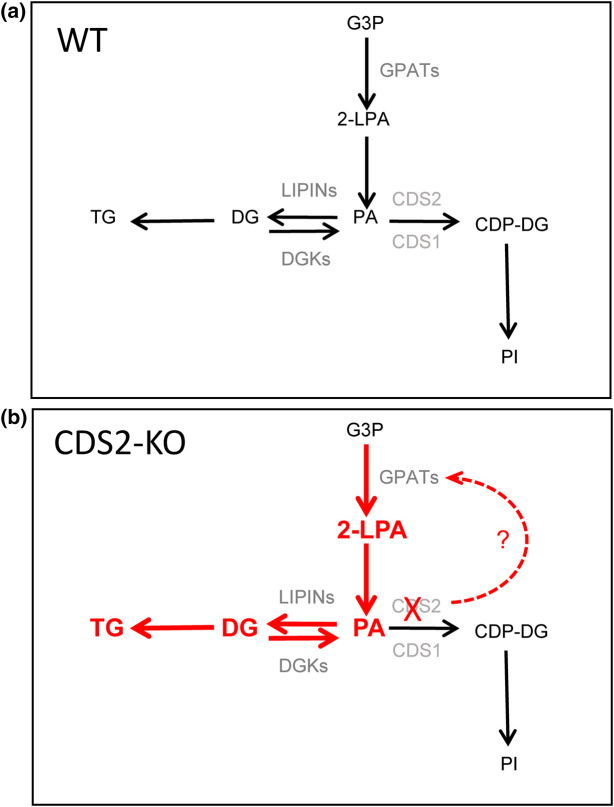 Figure 11.