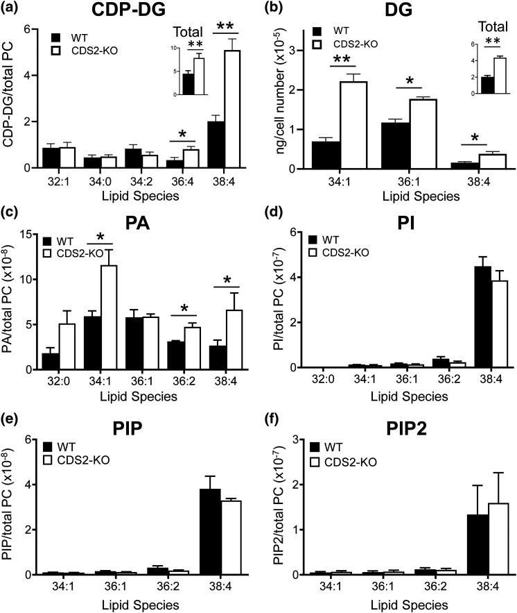 Figure 3.