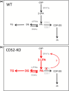 Figure 11.