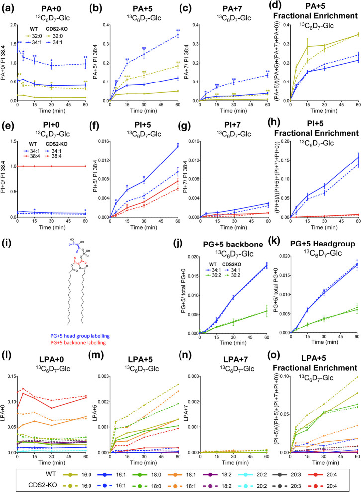 Figure 6.