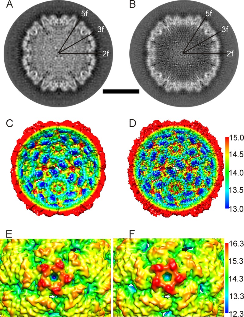 Fig 2