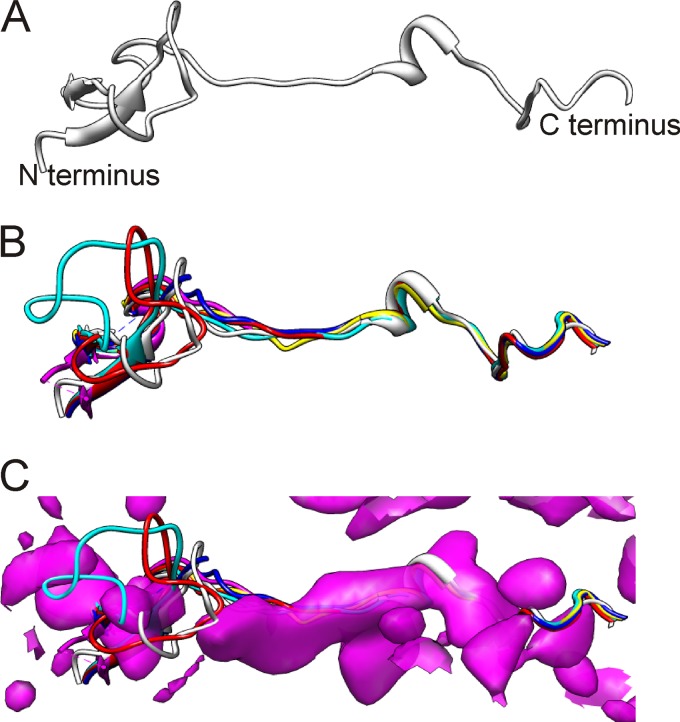 Fig 4