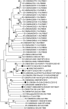 FIG 1