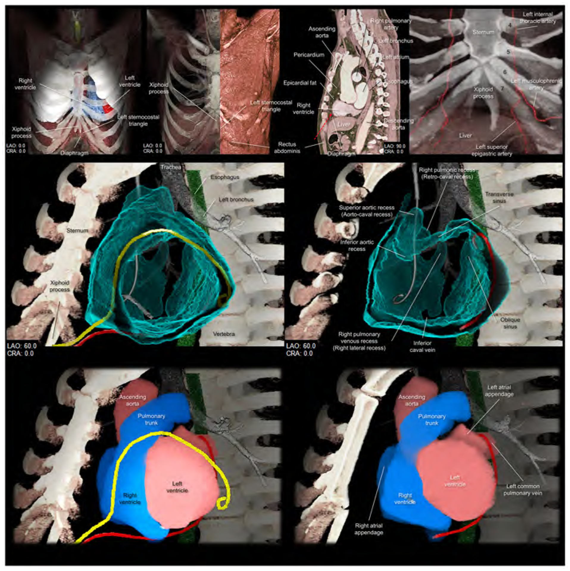 Figure 6.