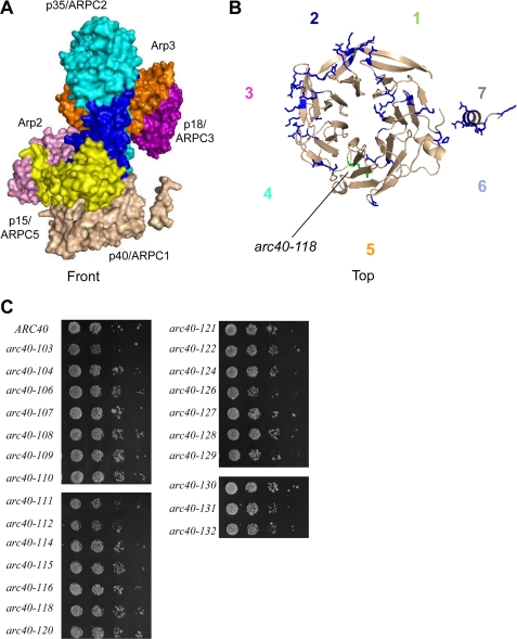 FIGURE 2.