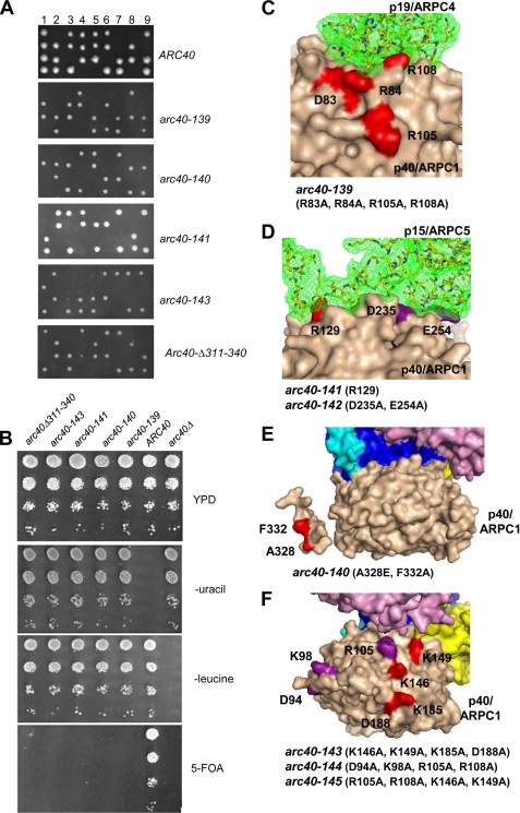 FIGURE 3.