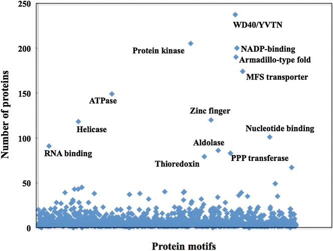 Figure 4.