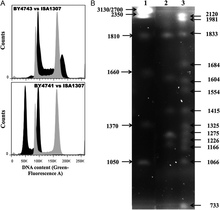 Figure 1.