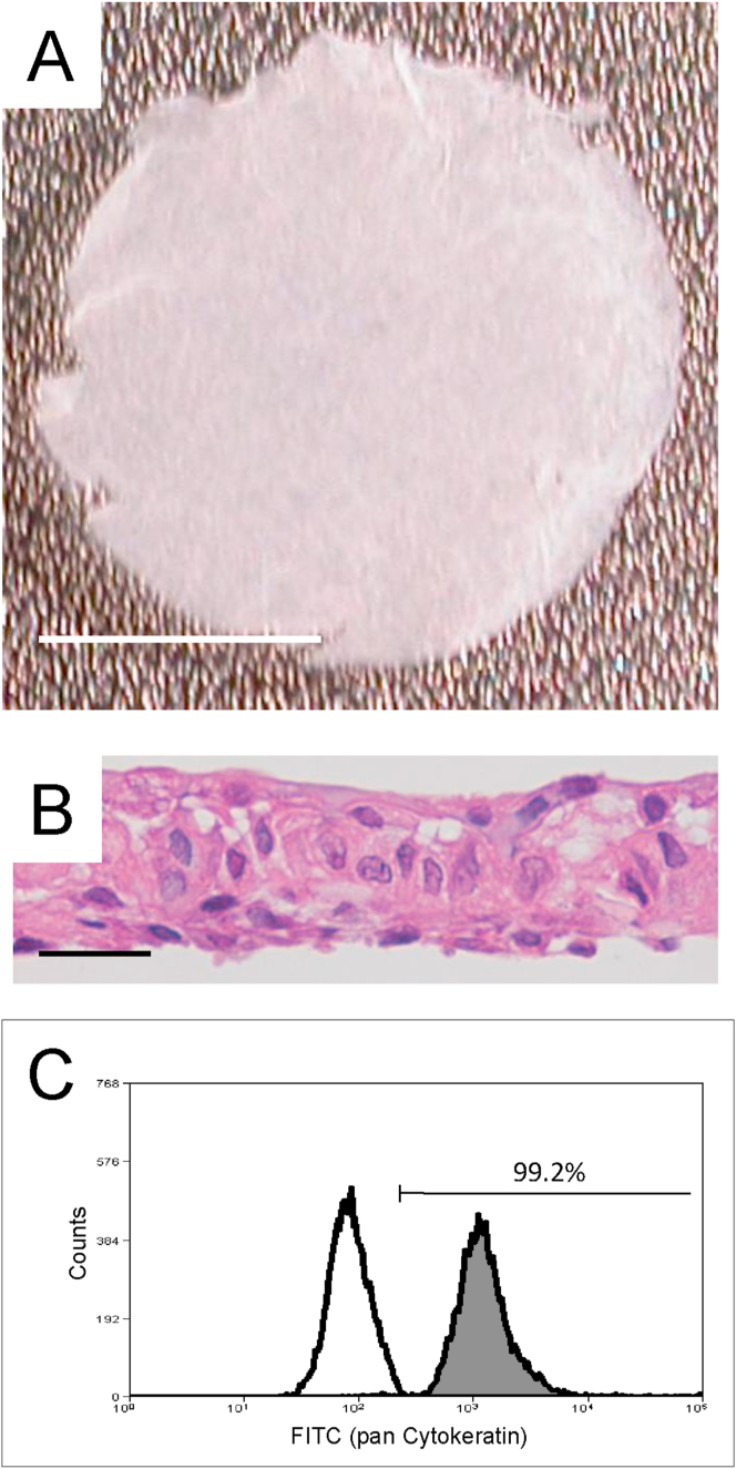 Fig. 4