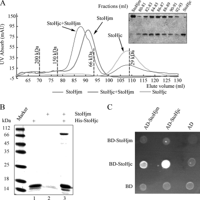 FIG. 8.