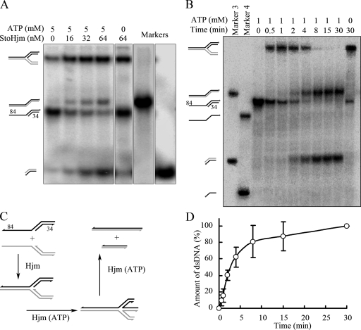 FIG. 6.