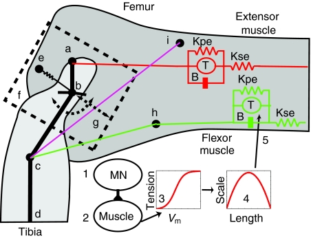 Fig. 1.