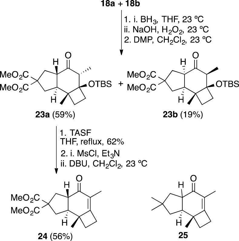 Scheme 6