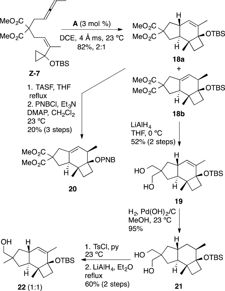 Scheme 5