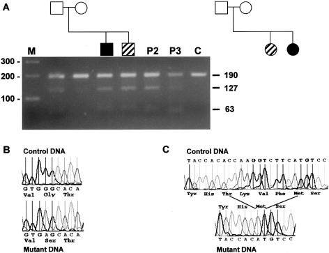 Figure  1