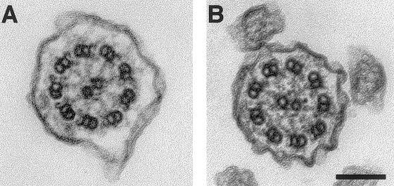 Figure  2