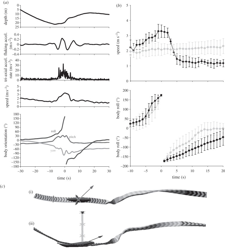 Figure 1.