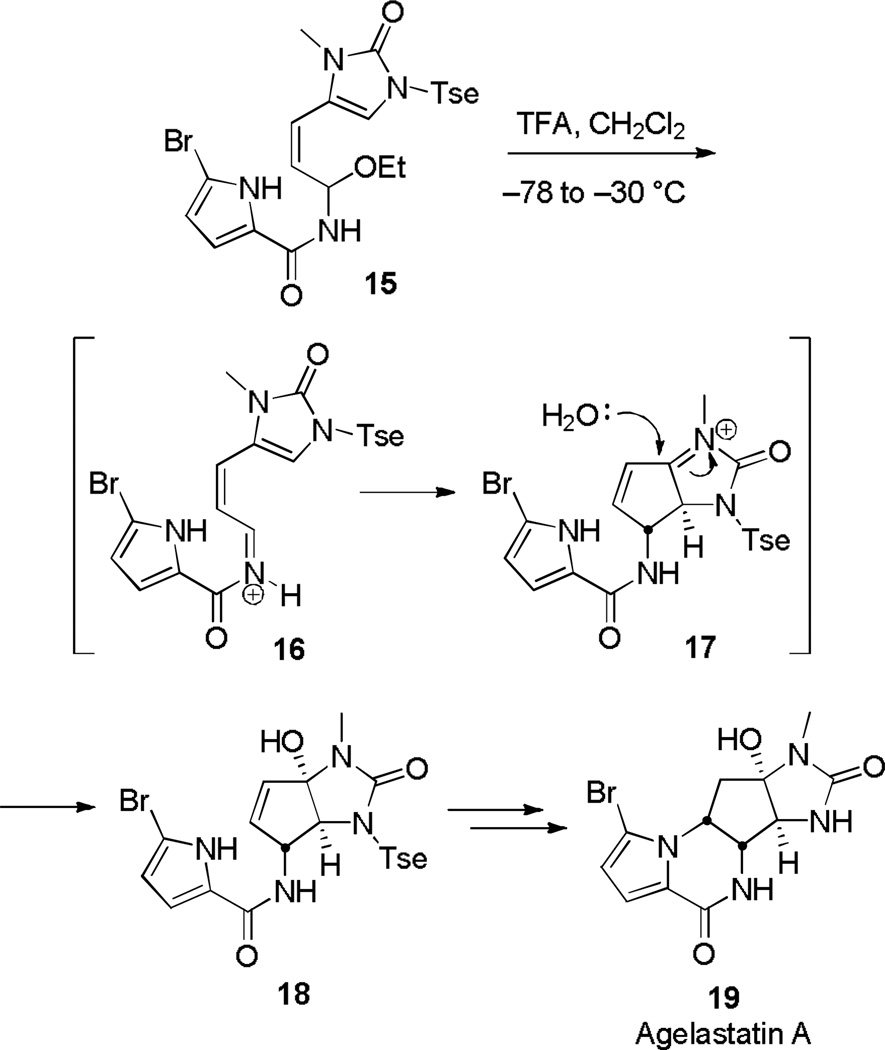 Scheme 4