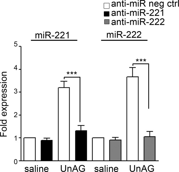 Figure 16.