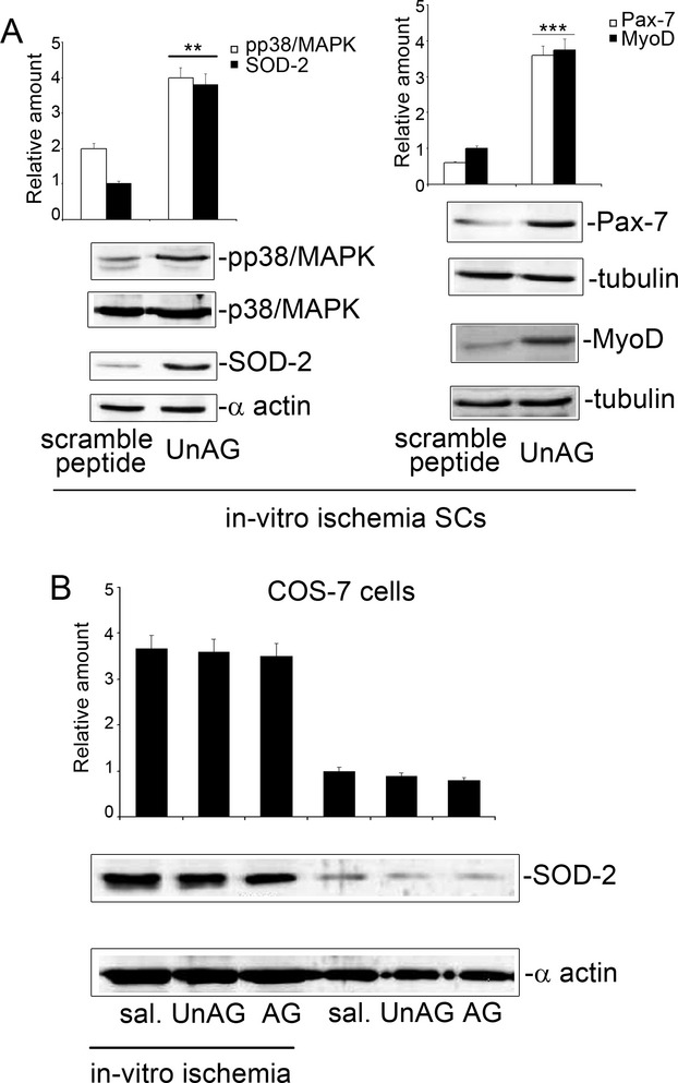 Figure 11.