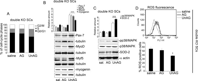 Figure 14.