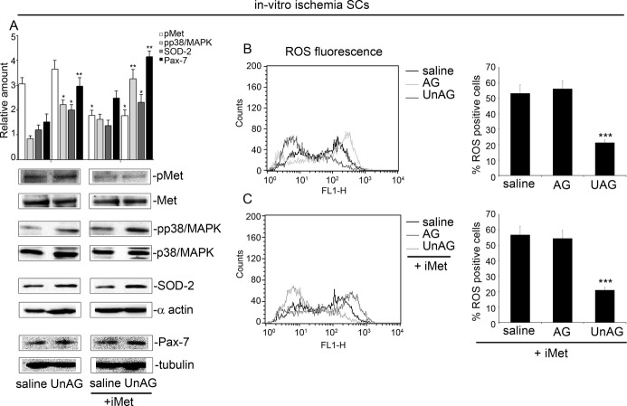 Figure 13.