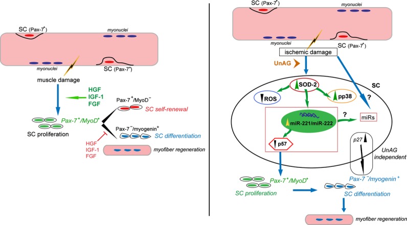 Figure 18.