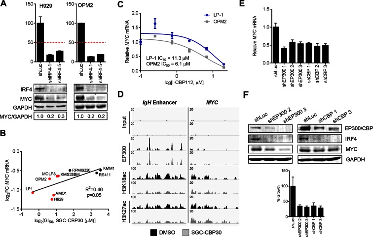 Figure 5—figure supplement 1.