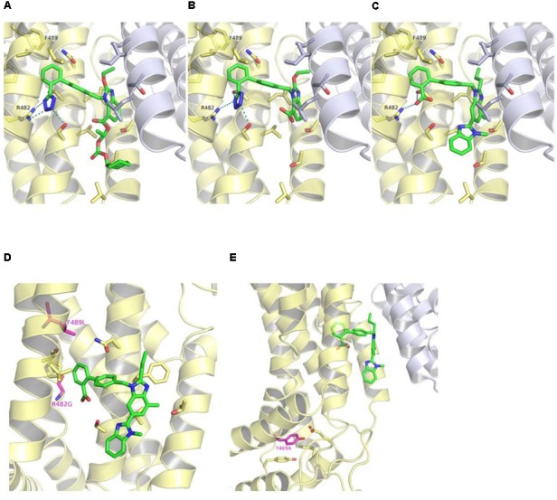 FIGURE 6