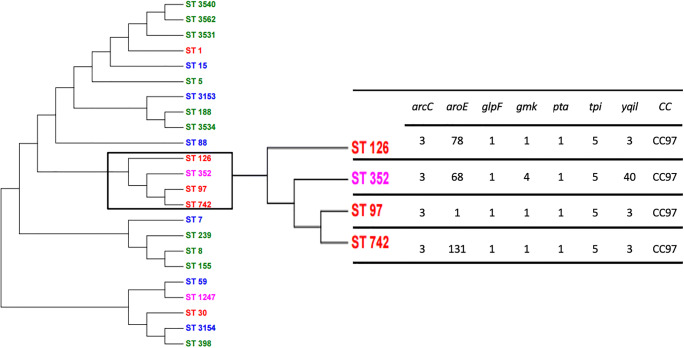 Fig. 1